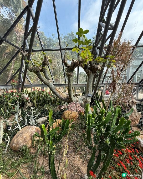 深圳仙湖植物園