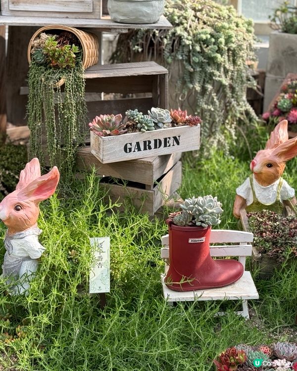 深圳仙湖植物園