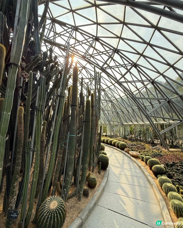 深圳仙湖植物園