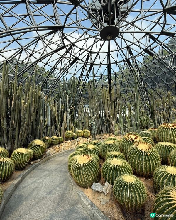 深圳仙湖植物園