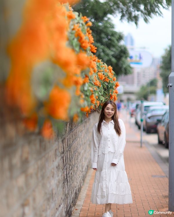 ｛賞花好去處｝🧡九龍塘炮杖花打卡位