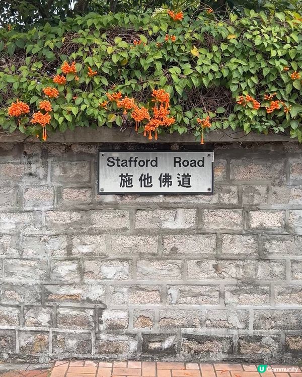 ｛賞花好去處｝🧡九龍塘炮杖花打卡位