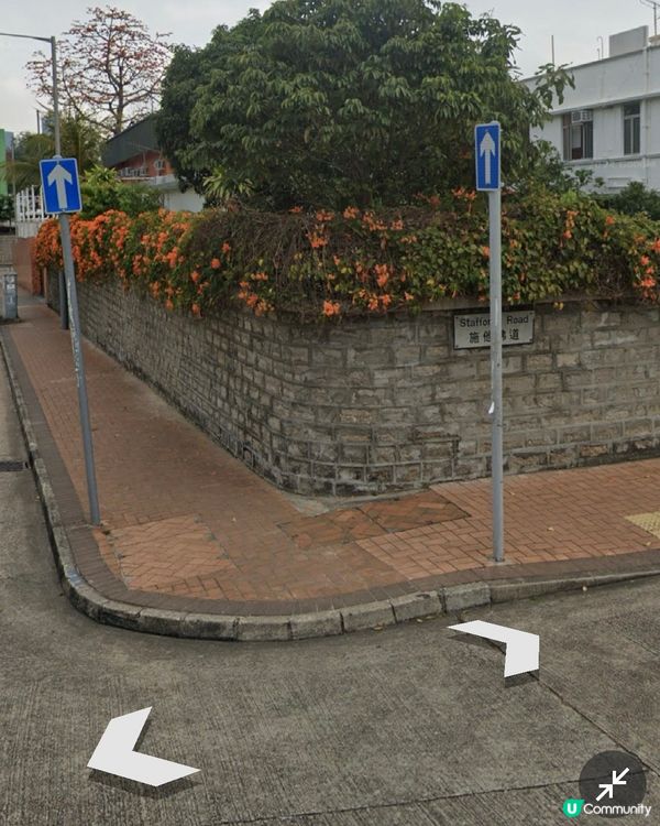 ｛賞花好去處｝🧡九龍塘炮杖花打卡位