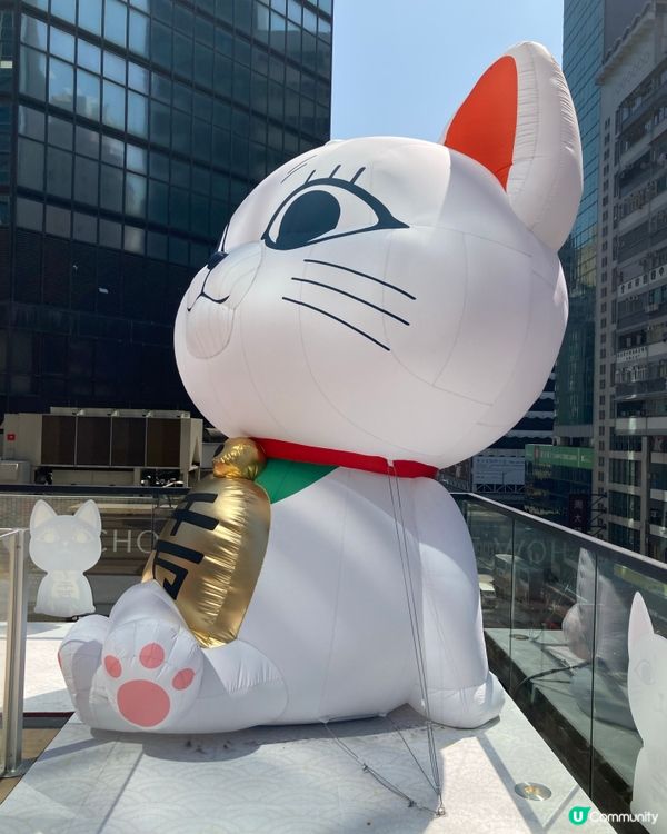 ## 旺角漫畫街尋寶之旅 🗺️