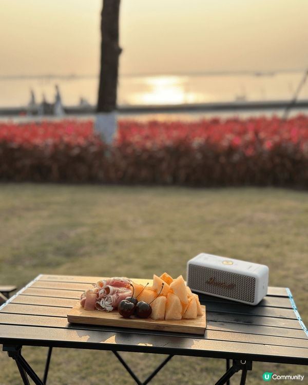 珠海春天好去處！沿海花海長廊，佈滿金魚草花，睇住黃昏野餐超級...