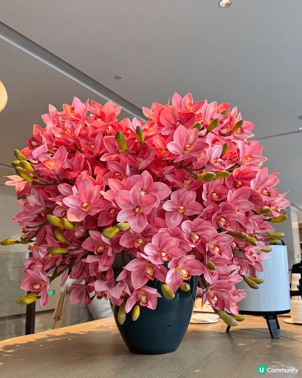 廣東人的迪士尼——東莞嘉輝會麗呈華廷酒店龍鳳山莊影視基地兩日...