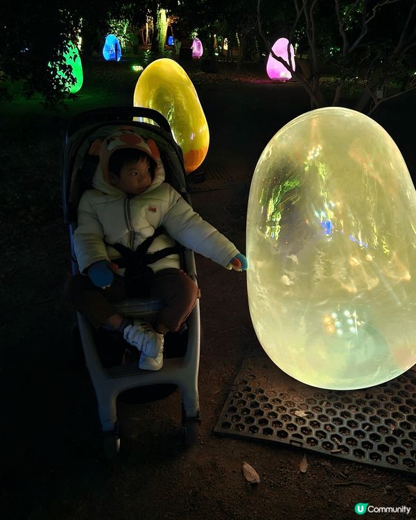 大阪teamLab長居植物園，第一次去室外的teamLab，...