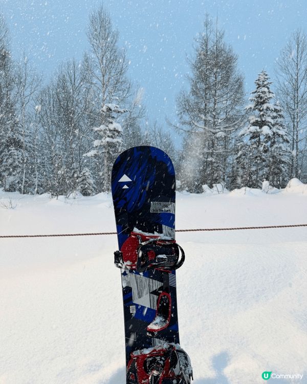 這些照片展示了一個美麗的滑雪勝地，充滿了冬季的魔力