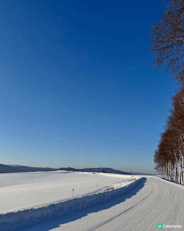 這些照片展示了一個美麗的滑雪勝地，充滿了冬季的魔力