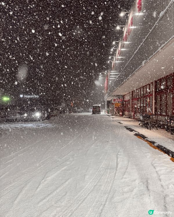 這些照片展示了一個美麗的滑雪勝地，充滿了冬季的魔力