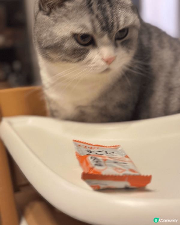 其實我都係個BB仔嚟嘅咋。所有買俾BB仔嘅物件都啱我用~Me...