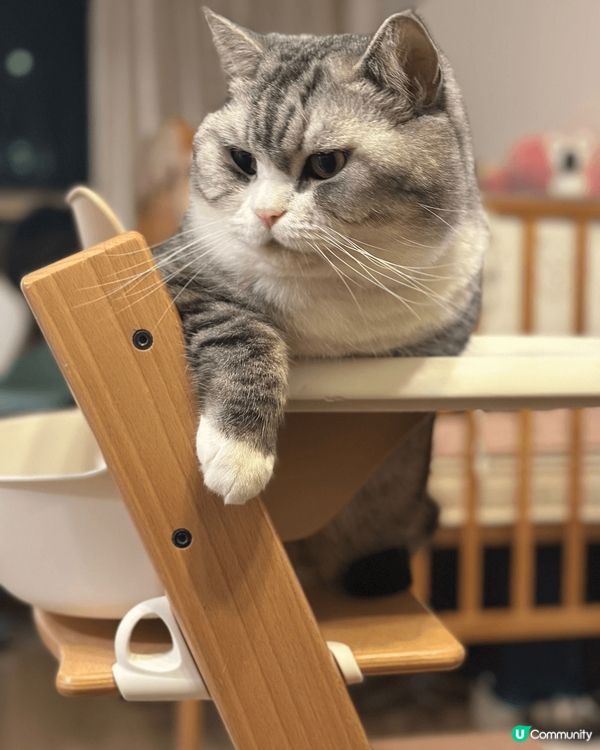 其實我都係個BB仔嚟嘅咋。所有買俾BB仔嘅物件都啱我用~Me...