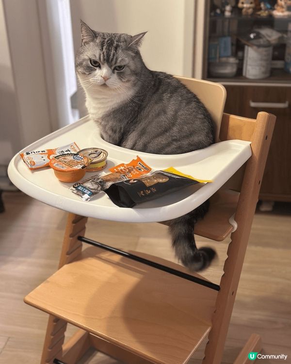 其實我都係個BB仔嚟嘅咋。所有買俾BB仔嘅物件都啱我用~Me...