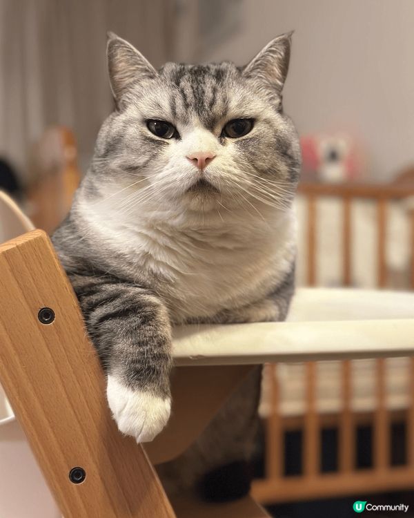 其實我都係個BB仔嚟嘅咋。所有買俾BB仔嘅物件都啱我用~Me...