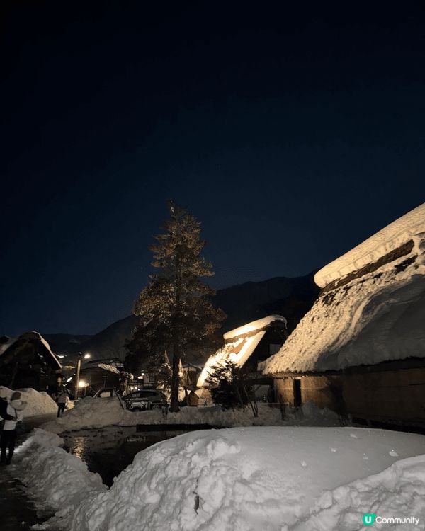 一月份去咗名古屋嘅白川鄉同埋名花之里。