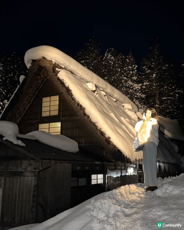 一月份去咗名古屋嘅白川鄉同埋名花之里。