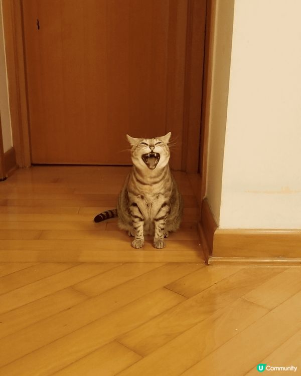 小朋友大得好快呀^^