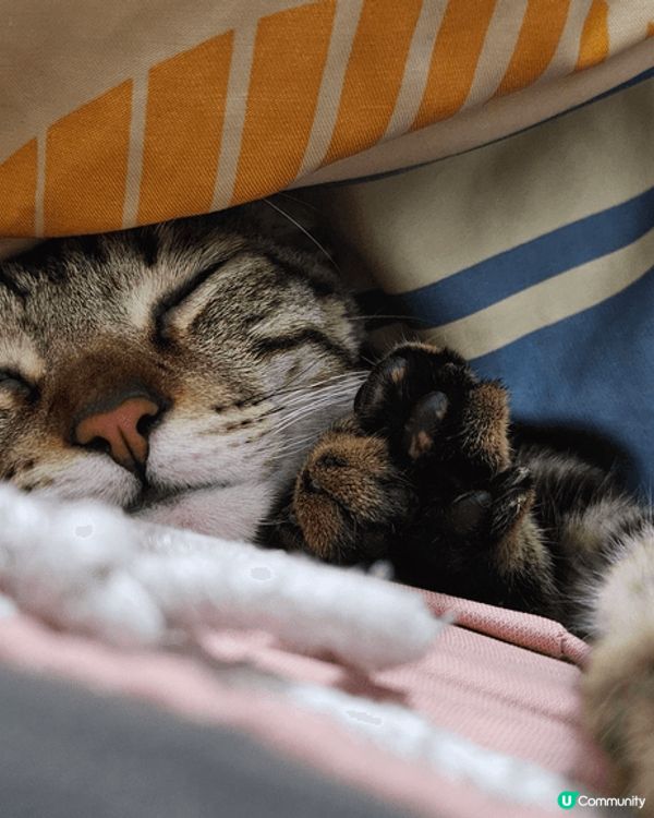 小朋友大得好快呀^^