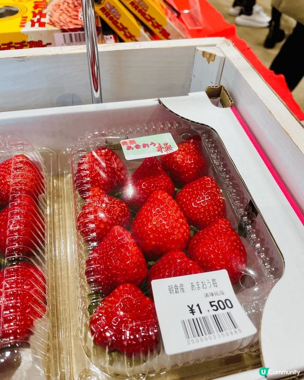 日本福岡嘅士多啤梨🍓真係超正