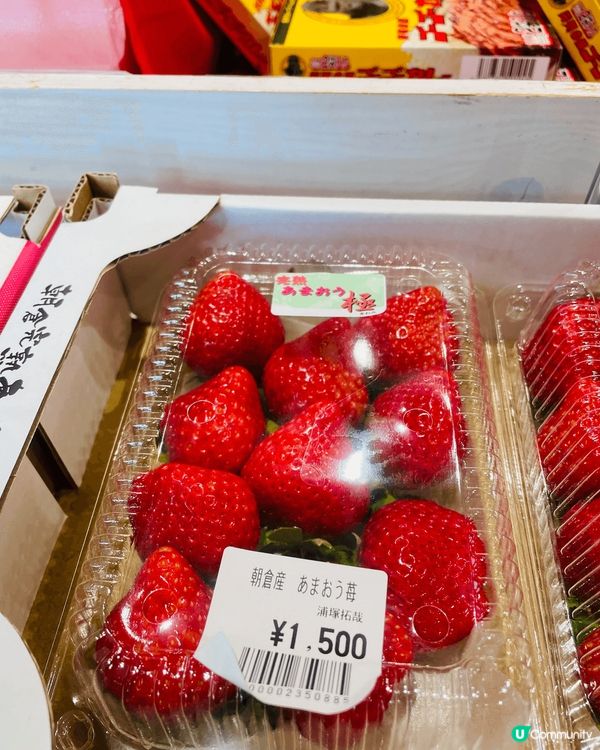 日本福岡嘅士多啤梨🍓真係超正