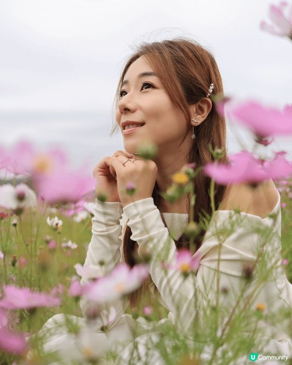 除咗春天的來臨，格桑花盛開，香港深圳廣東省都有得打卡，愛花的...