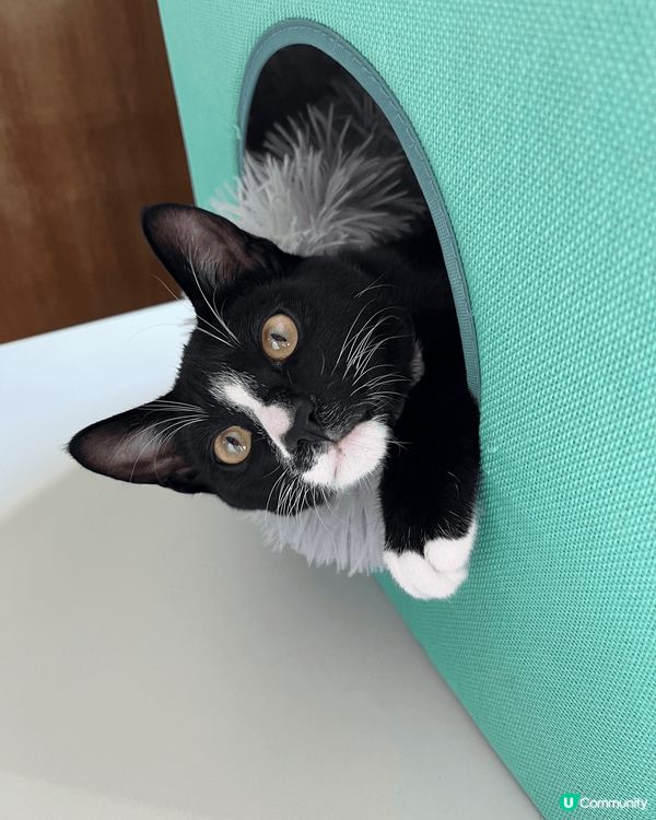 由細到大都咁靚仔可愛，雖然細膽d, 但就係乖乖既。最緊要係食...