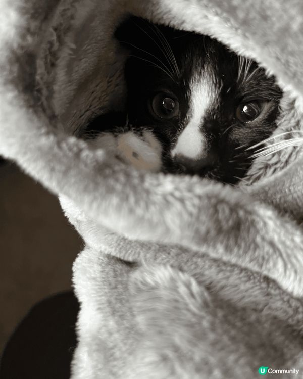 由細到大都咁靚仔可愛，雖然細膽d, 但就係乖乖既。最緊要係食...