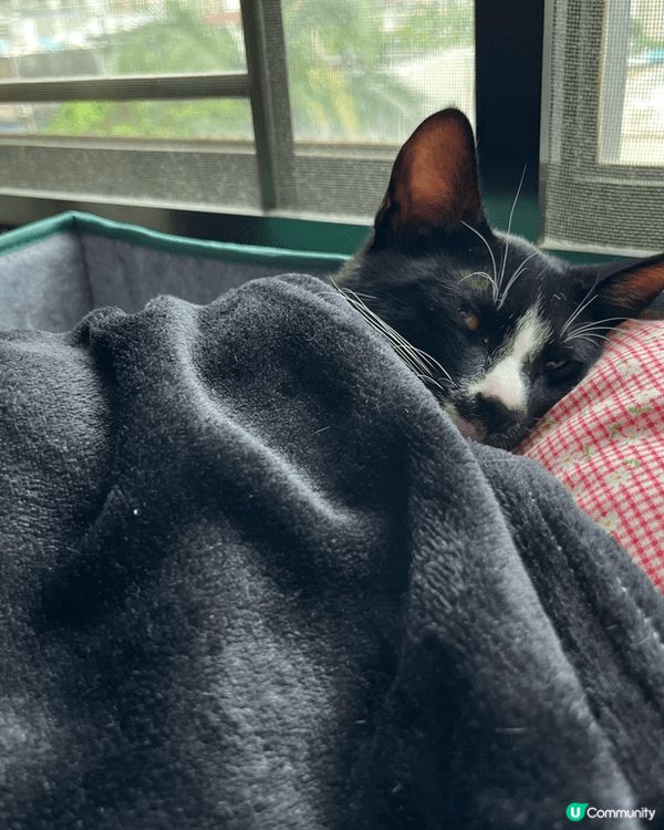 由細到大都咁靚仔可愛，雖然細膽d, 但就係乖乖既。最緊要係食...