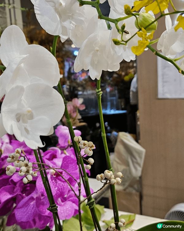 春季一定行花墟因為好多春天嘅花 多咗好多色彩繽紛 加上太子係...