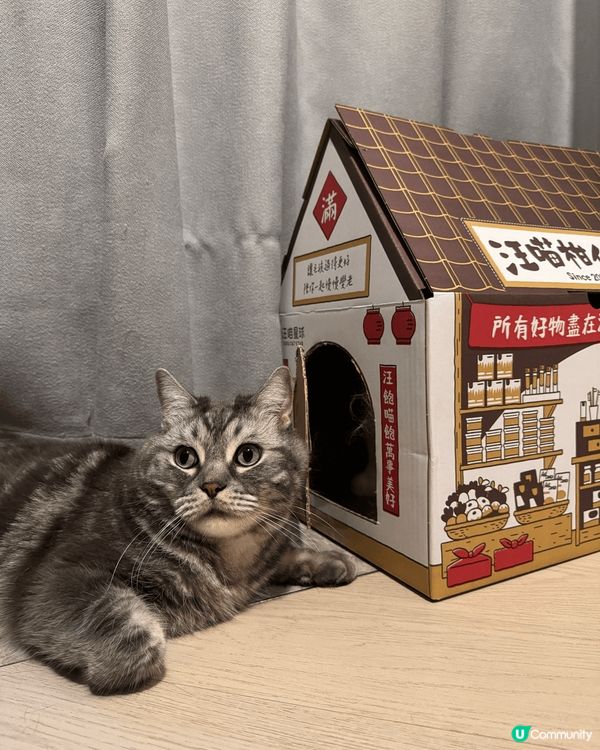 Ballobao and Charlie Bao 玩緊新玩具...