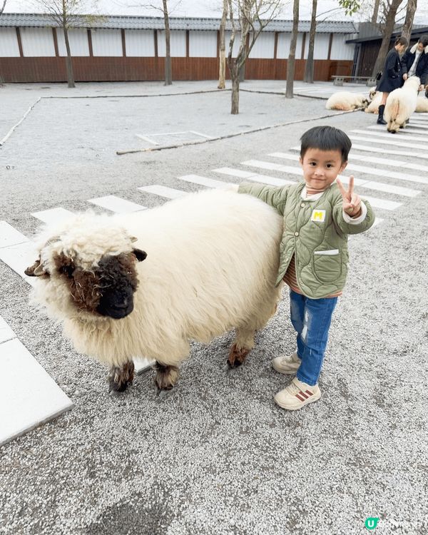 剛剛帶小朋友到台北短途遊!這裡是著名的野柳英女皇頭和宜蘭阿嬤...