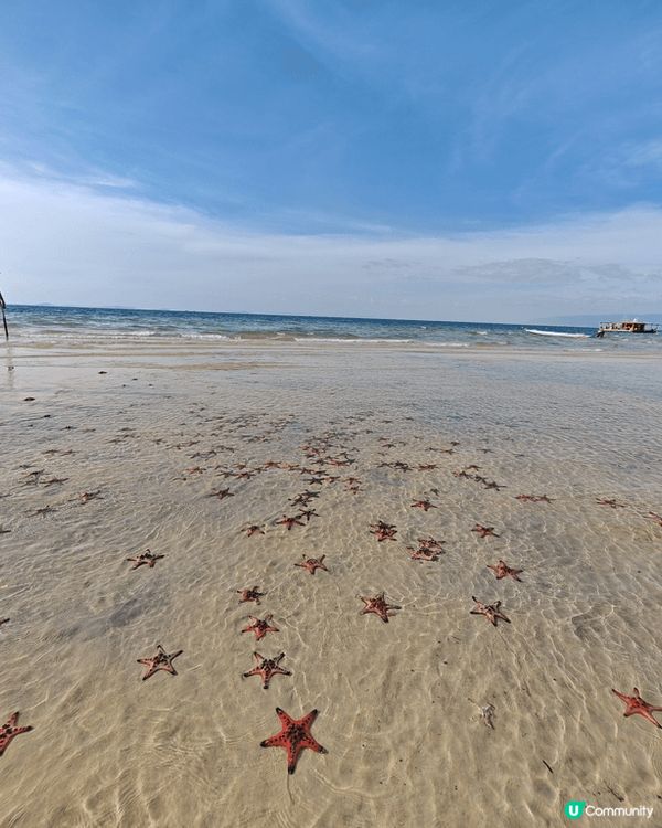 富國島海星沙灘真係水清沙丘，去到好似去咗馬爾代夫一樣咁靚， ...