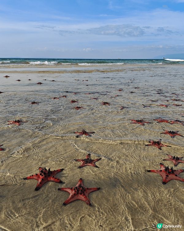 富國島海星沙灘真係水清沙丘，去到好似去咗馬爾代夫一樣咁靚， ...