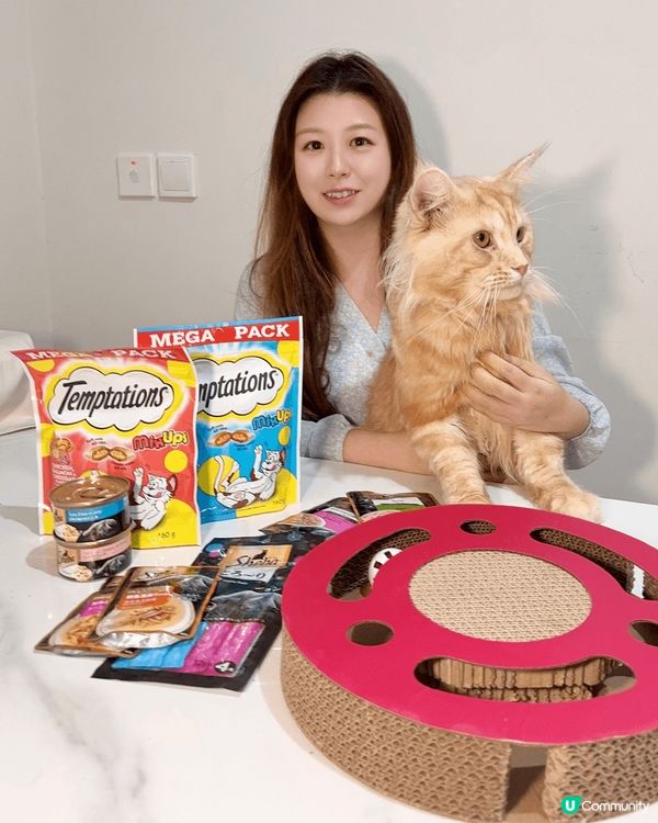 呢個係我隻貓貓叫番薯呀