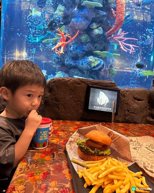 Rainforest Cafe Tokyo 是一家主題餐廳。...