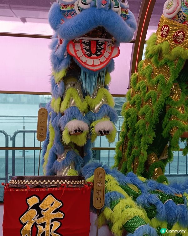 每年新年指定活動，就係醒獅表演，好有氣氛