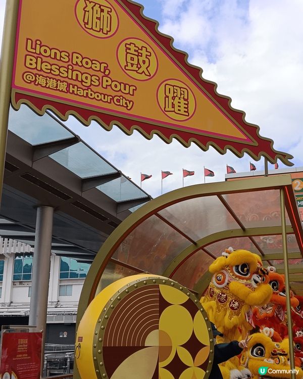 每年新年指定活動，就係醒獅表演，好有氣氛