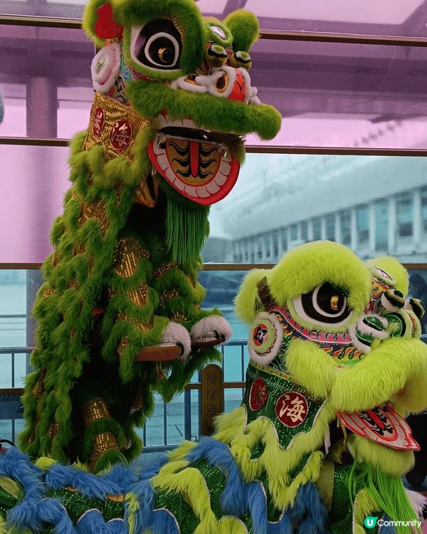 每年新年指定活動，就係醒獅表演，好有氣氛