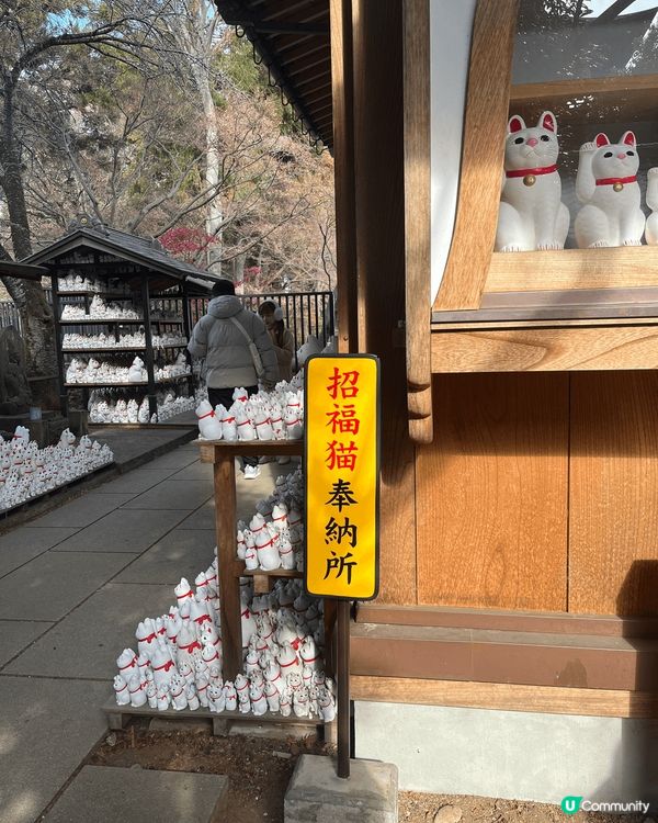 鍾意貓貓嘅你，去東京旅行一定唔可以錯過豪德寺！