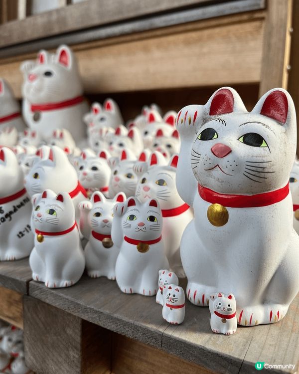 鍾意貓貓嘅你，去東京旅行一定唔可以錯過豪德寺！