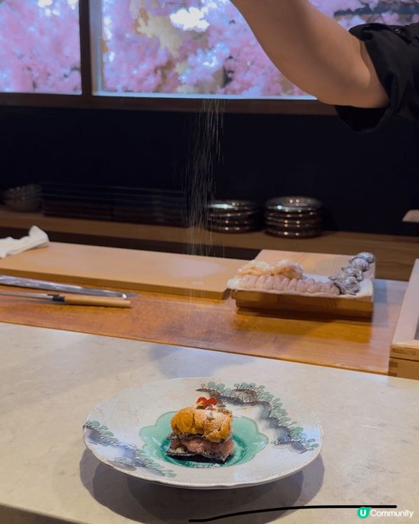 🌸當櫻花飄雪飛舞時