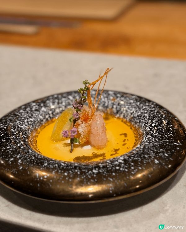 🌸當櫻花飄雪飛舞時