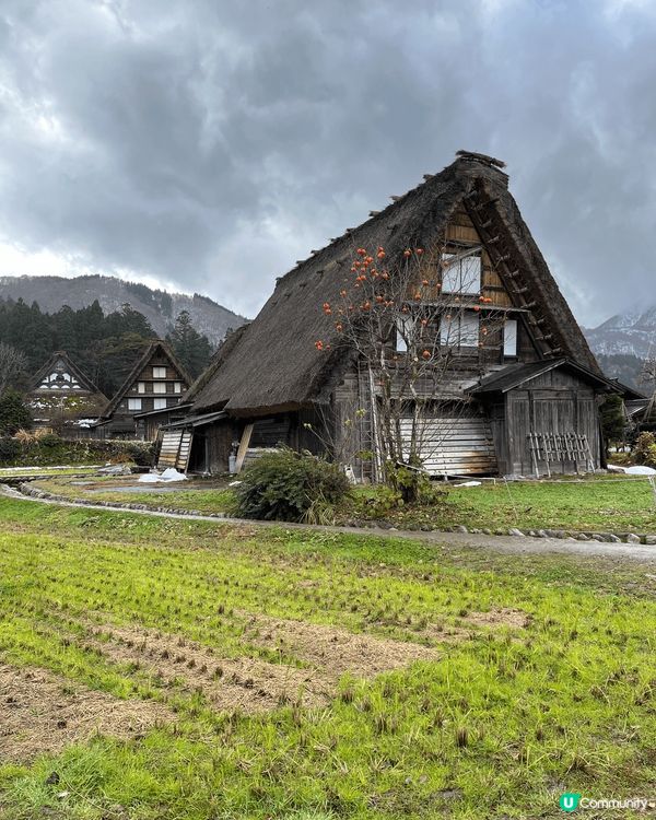 秋冬天去白川鄉景色美麗，隨處可見小紅葉，景色美麗，餐點多選擇...