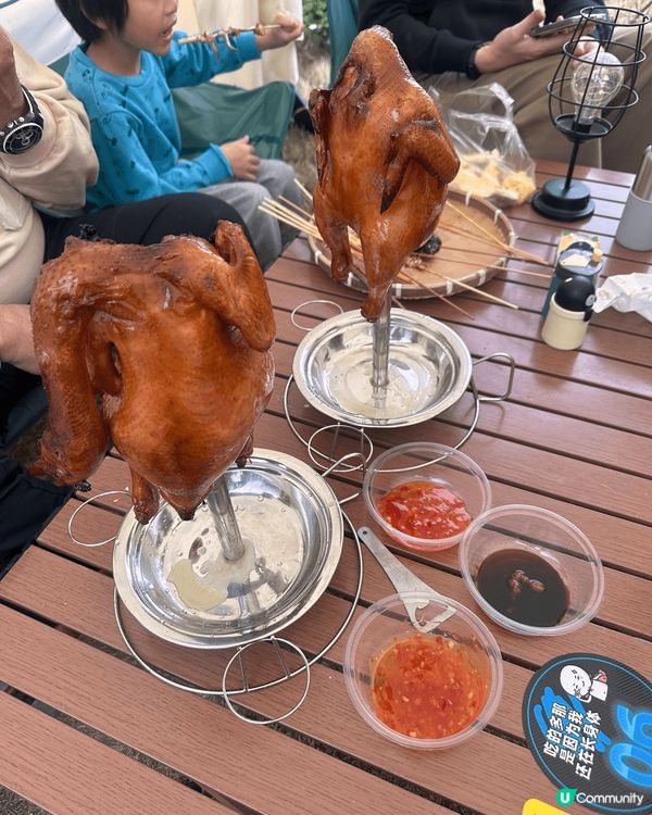 中山神灣。於菠蘿園自摘菠蘿。菠蘿有好多唔同品種。糖心嘅菠蘿好...