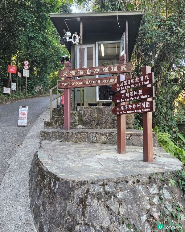 大埔滘自然護理區🌳 四色林徑等你挑戰！🏃‍♀️🏃