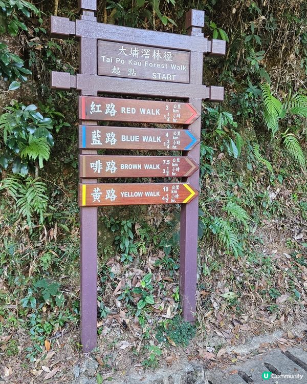 大埔滘自然護理區🌳 四色林徑等你挑戰！🏃‍♀️🏃