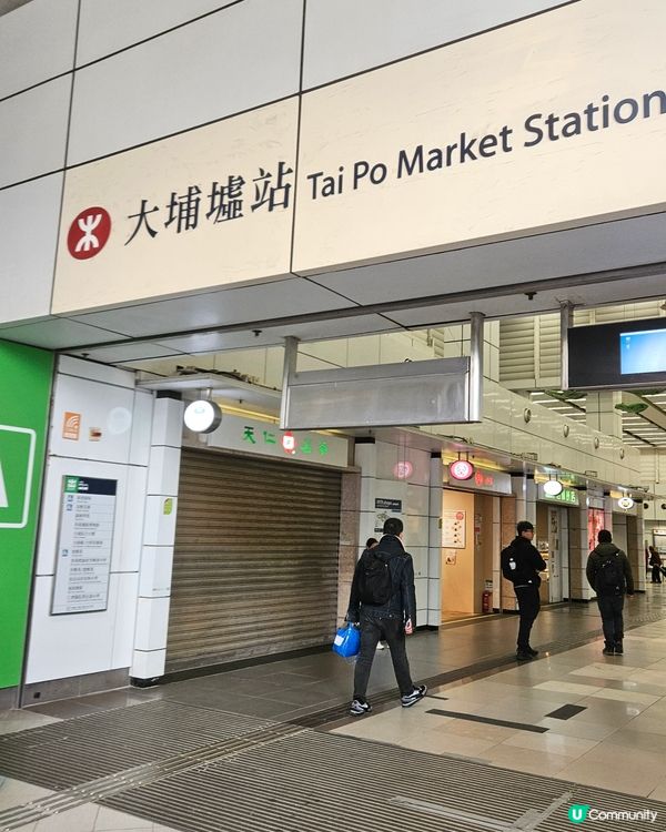 大埔滘自然護理區🌳 四色林徑等你挑戰！🏃‍♀️🏃