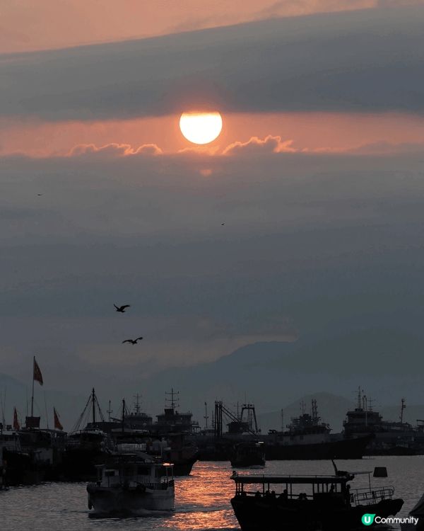 香港仔漁村，呢到依舊保留著上世紀“水上人家”嘅生活軌跡，唔洗...