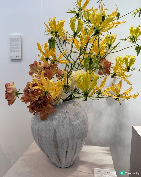 Chloe Atelier des Fleur香水與藝術結合...