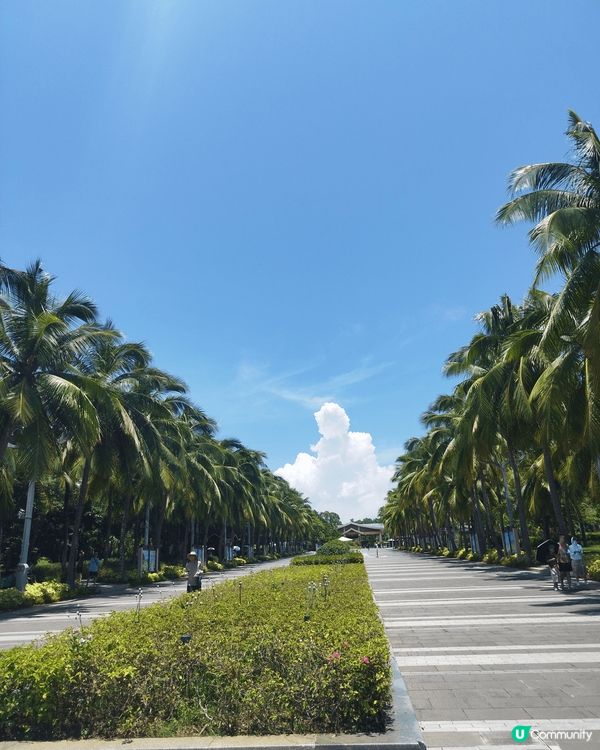 海南打卡，好景好嘢食